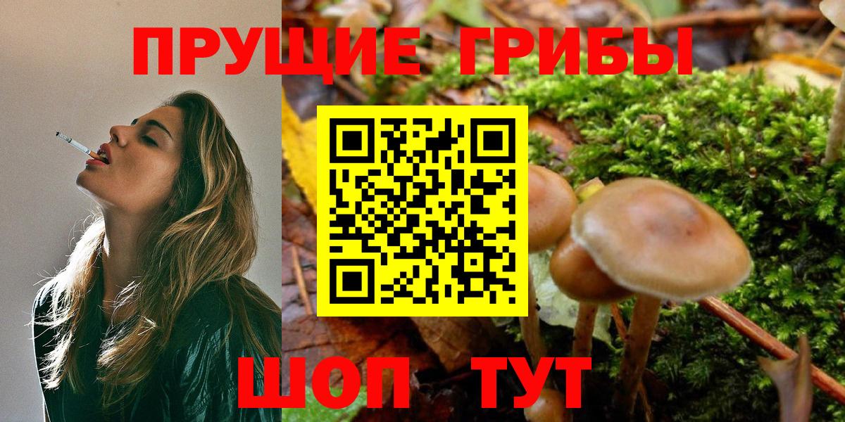 Галлюциногенные грибы ЛСД Нововоронеж